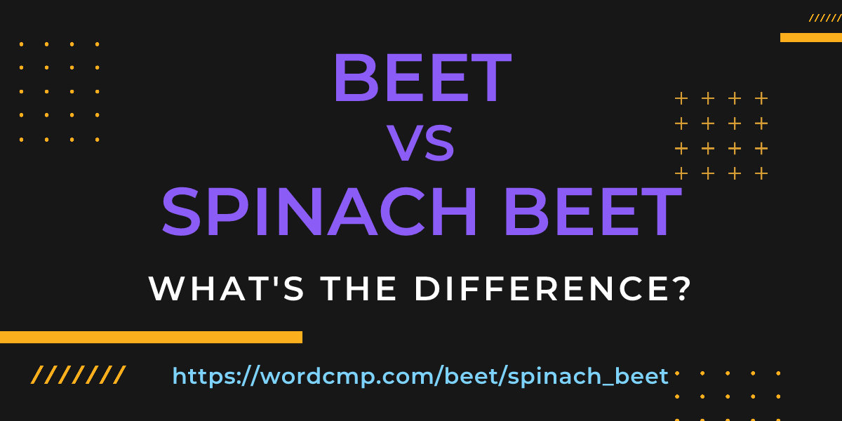 Difference between beet and spinach beet