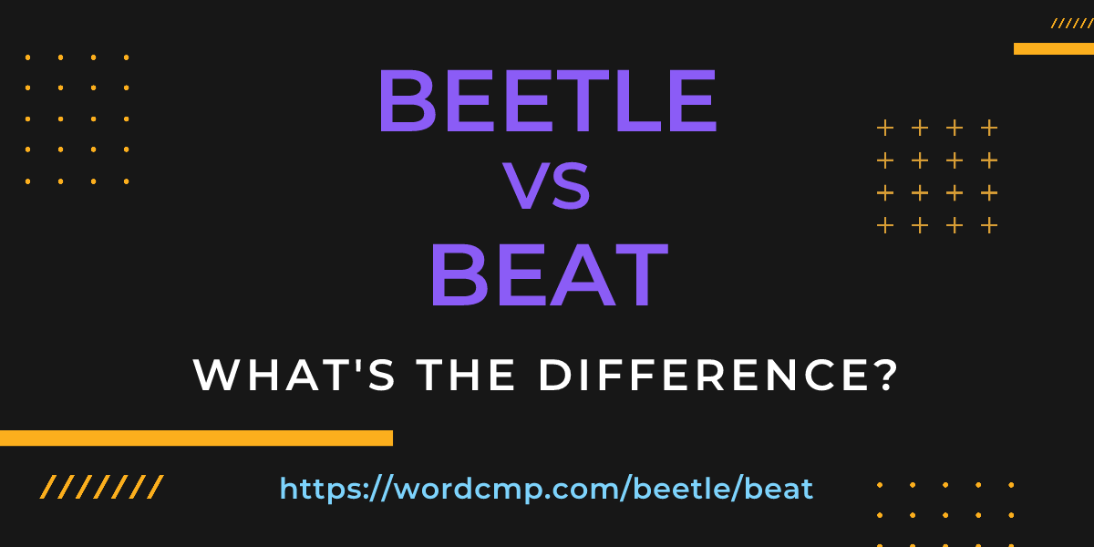 Difference between beetle and beat