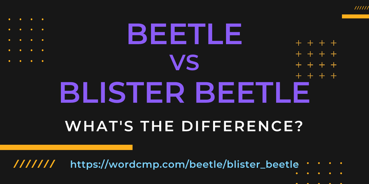 Difference between beetle and blister beetle