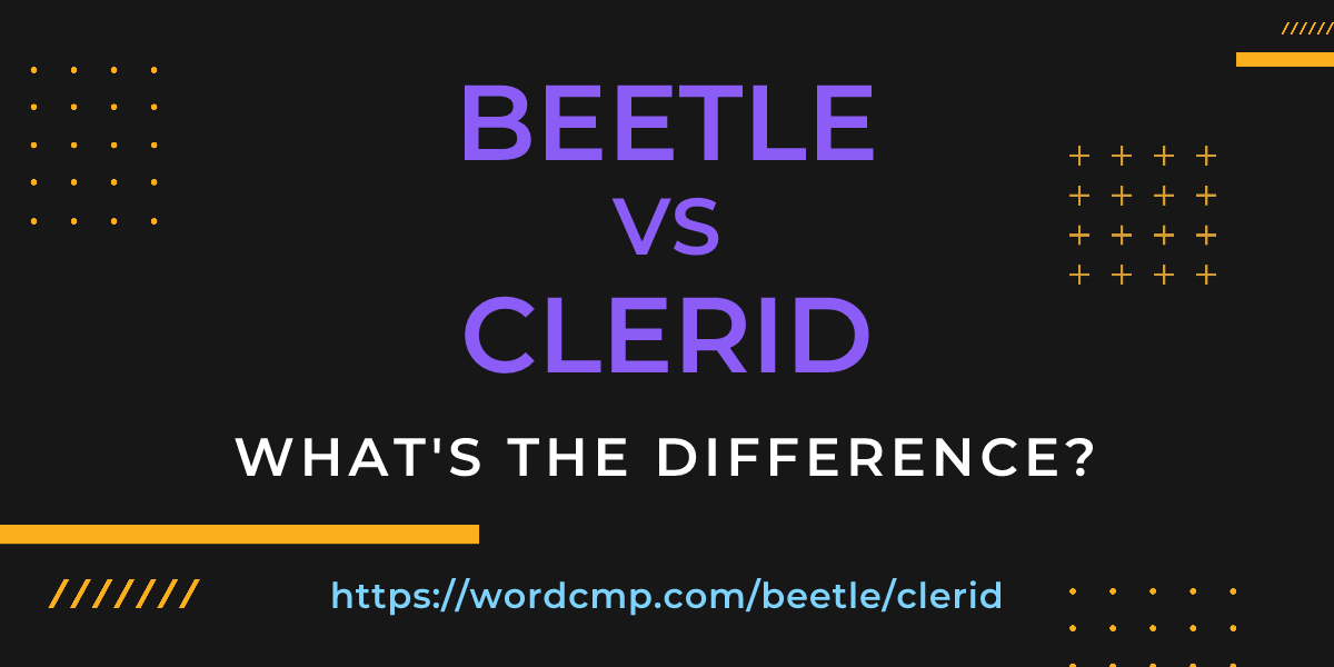 Difference between beetle and clerid