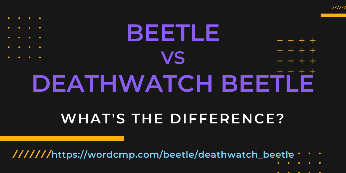 Difference between beetle and deathwatch beetle