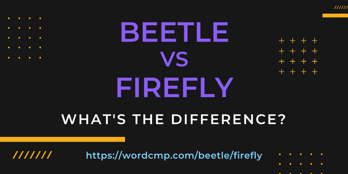 Difference between beetle and firefly