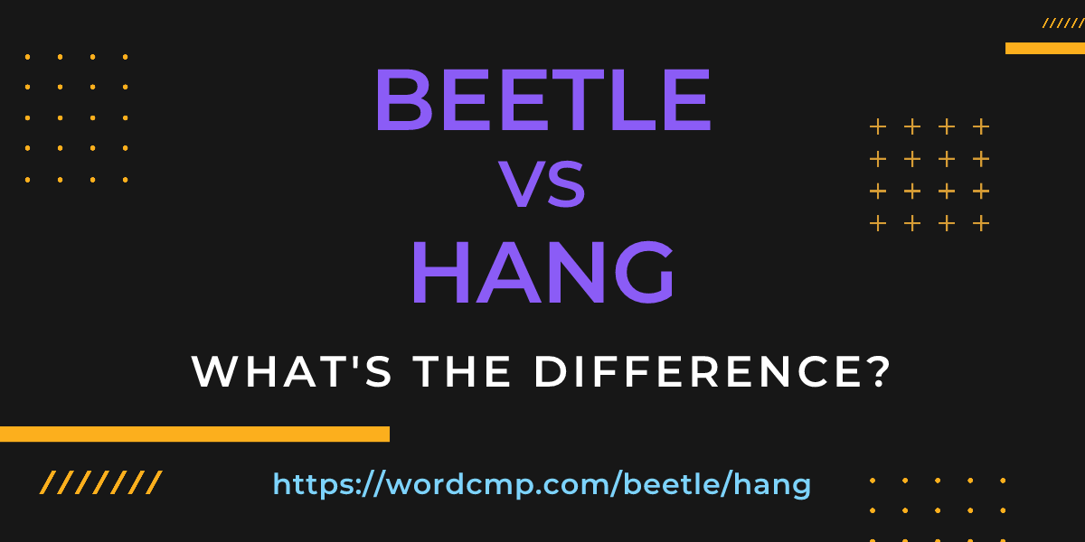 Difference between beetle and hang