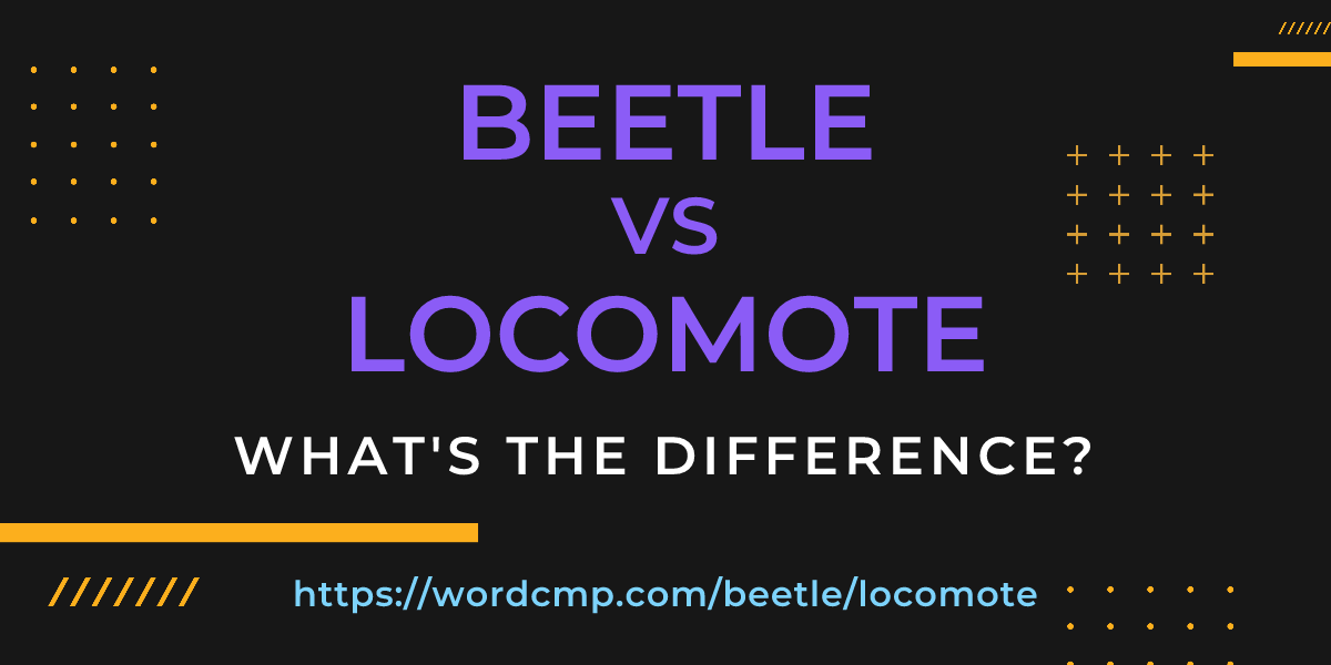 Difference between beetle and locomote