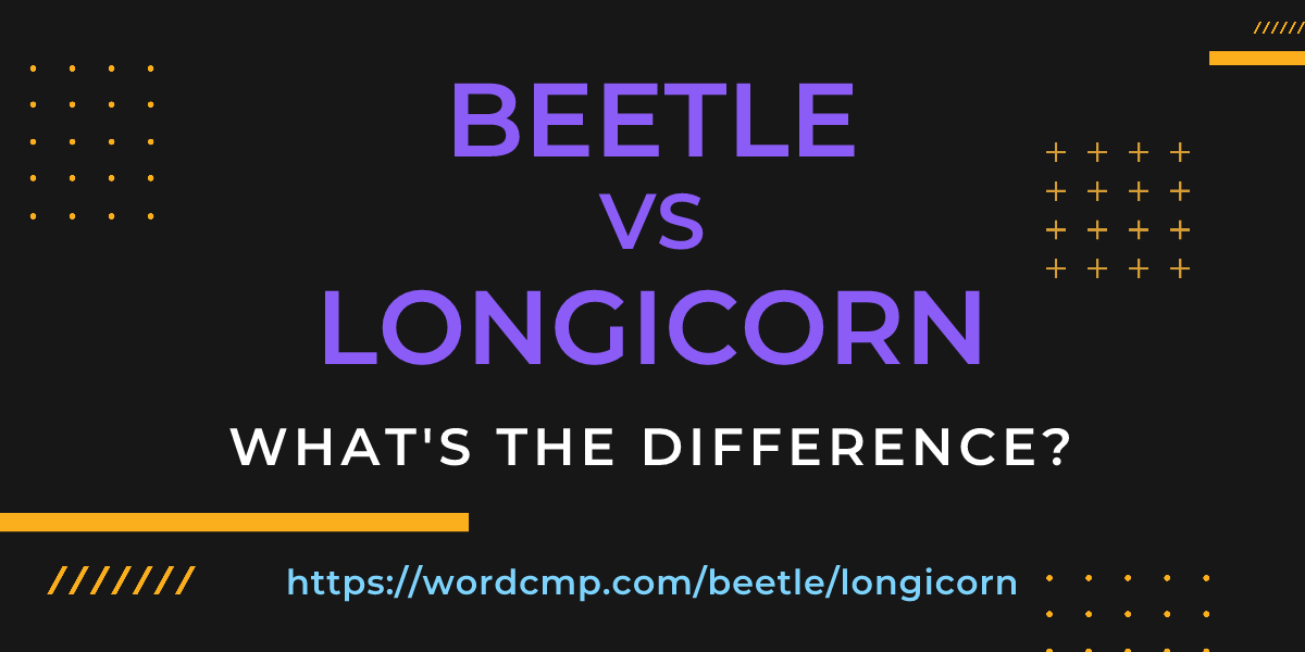 Difference between beetle and longicorn