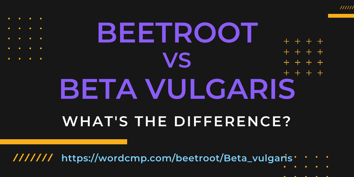 Difference between beetroot and Beta vulgaris