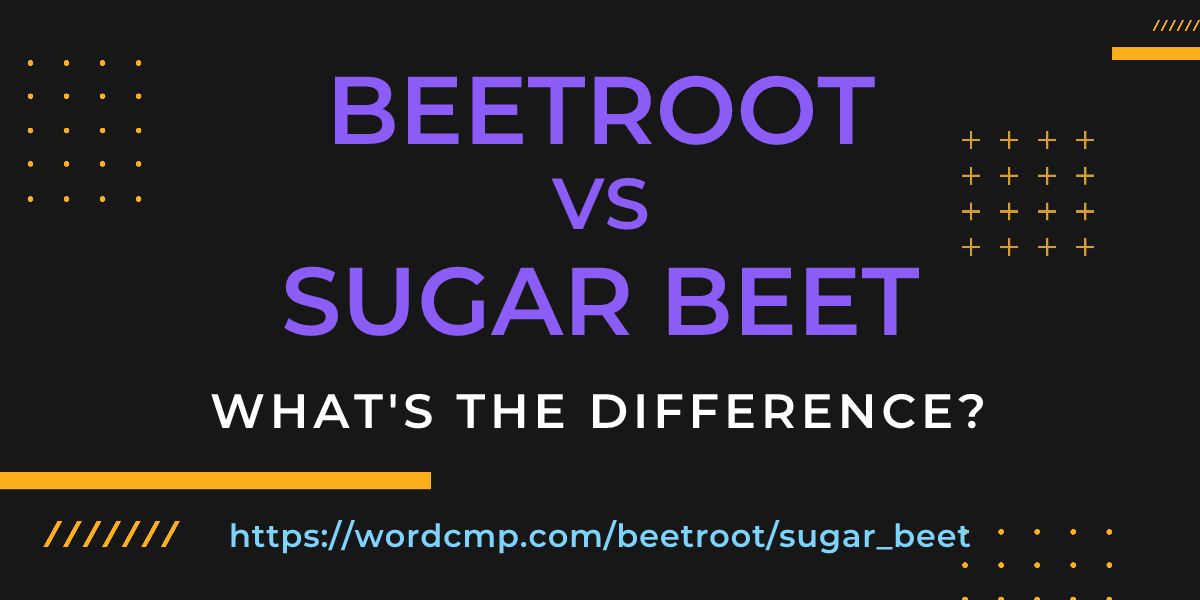 Difference between beetroot and sugar beet