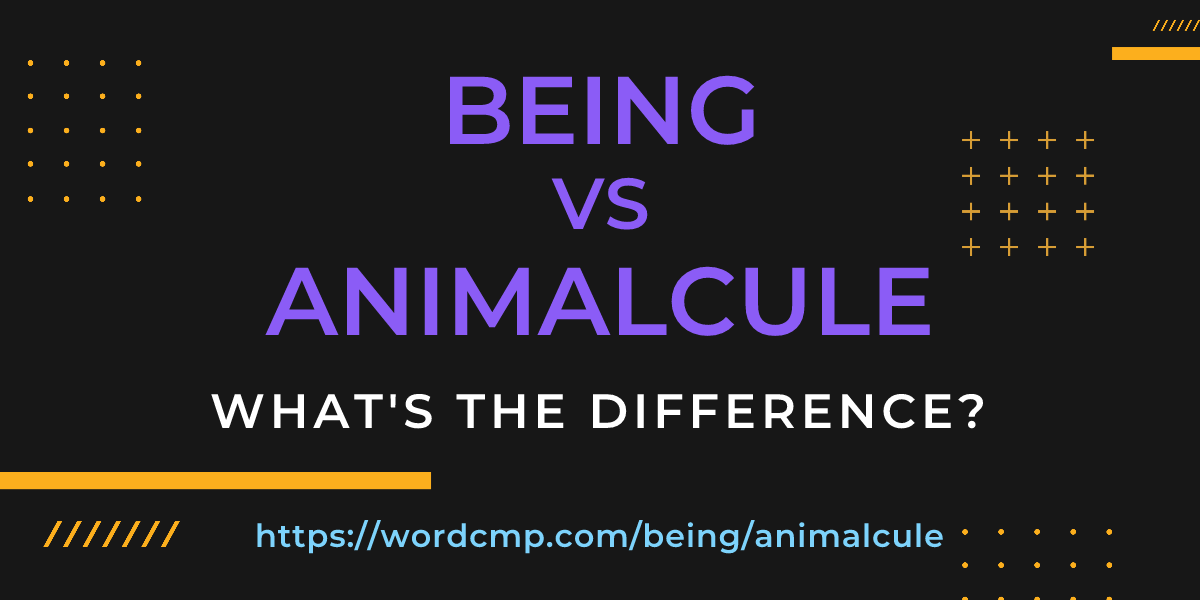 Difference between being and animalcule