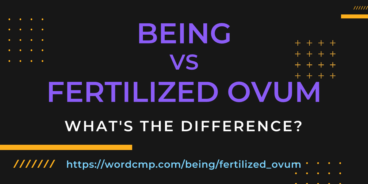 Difference between being and fertilized ovum