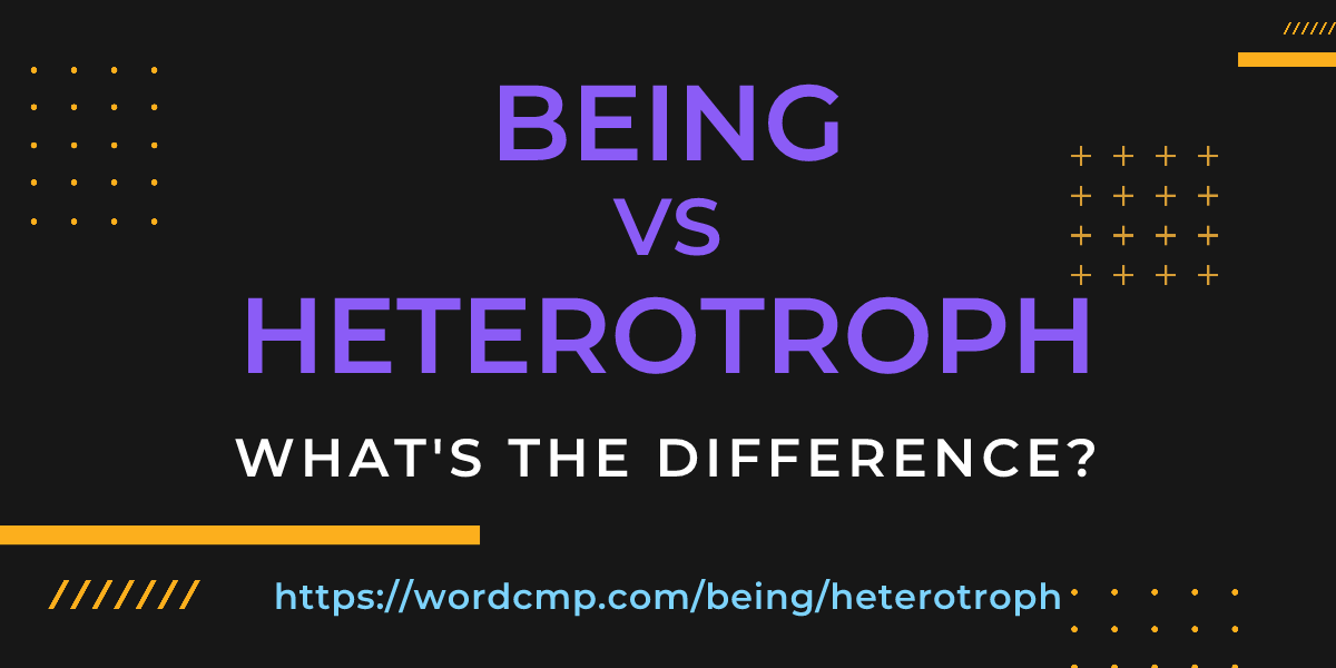 Difference between being and heterotroph