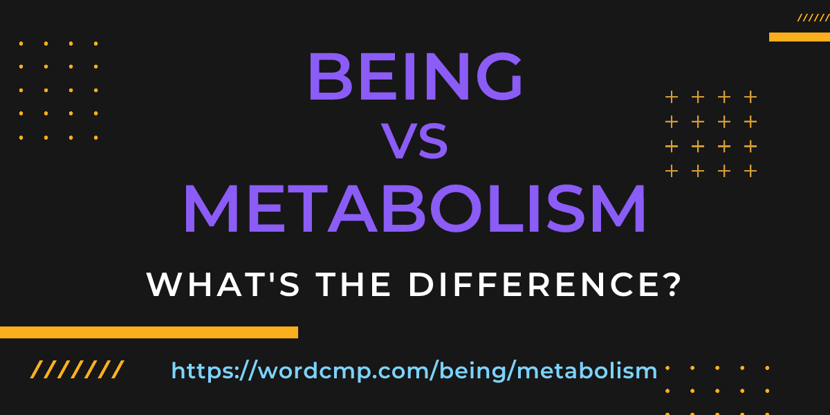 Difference between being and metabolism