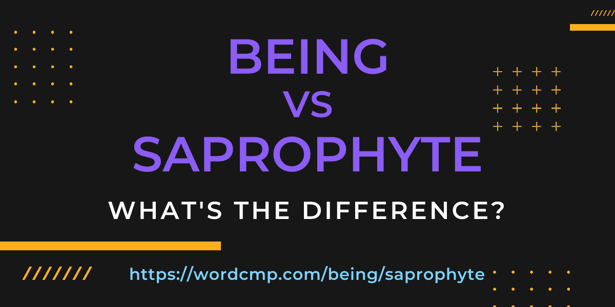 Difference between being and saprophyte