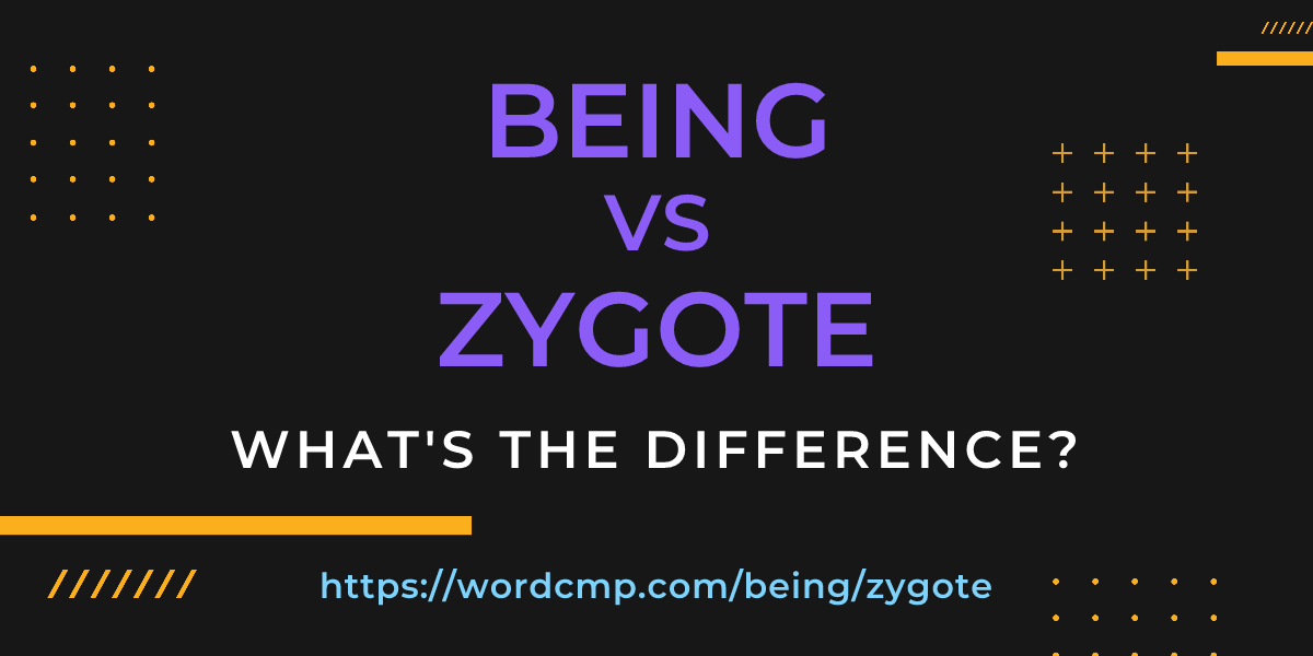 Difference between being and zygote