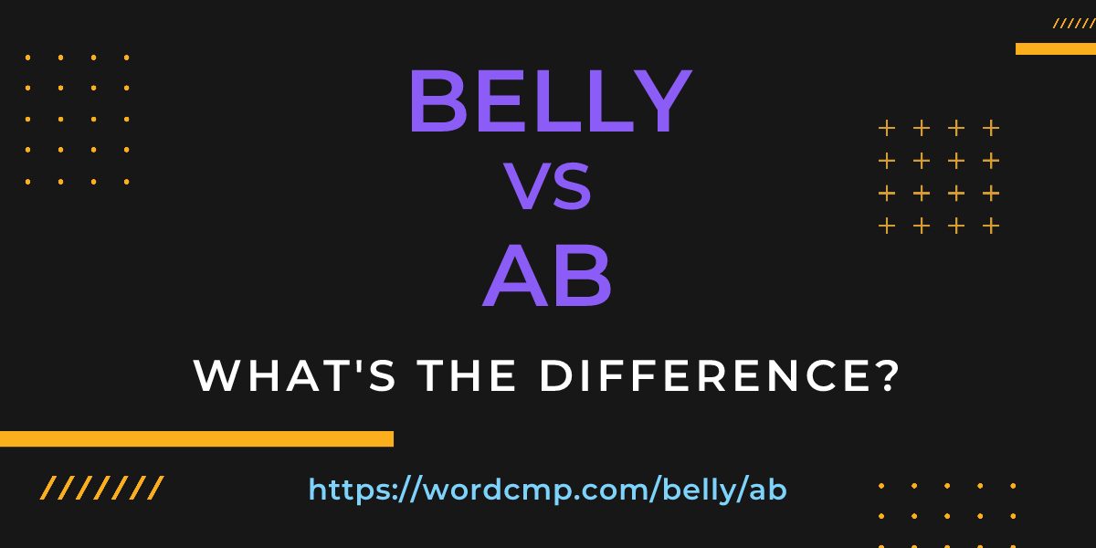 Difference between belly and ab