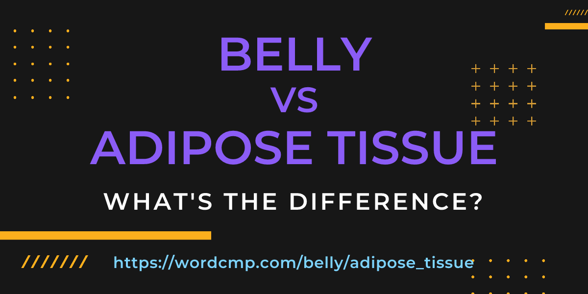 Difference between belly and adipose tissue