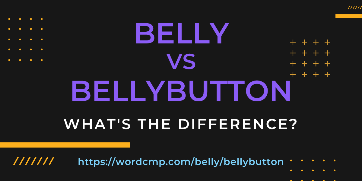 Difference between belly and bellybutton