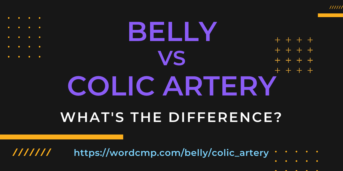 Difference between belly and colic artery