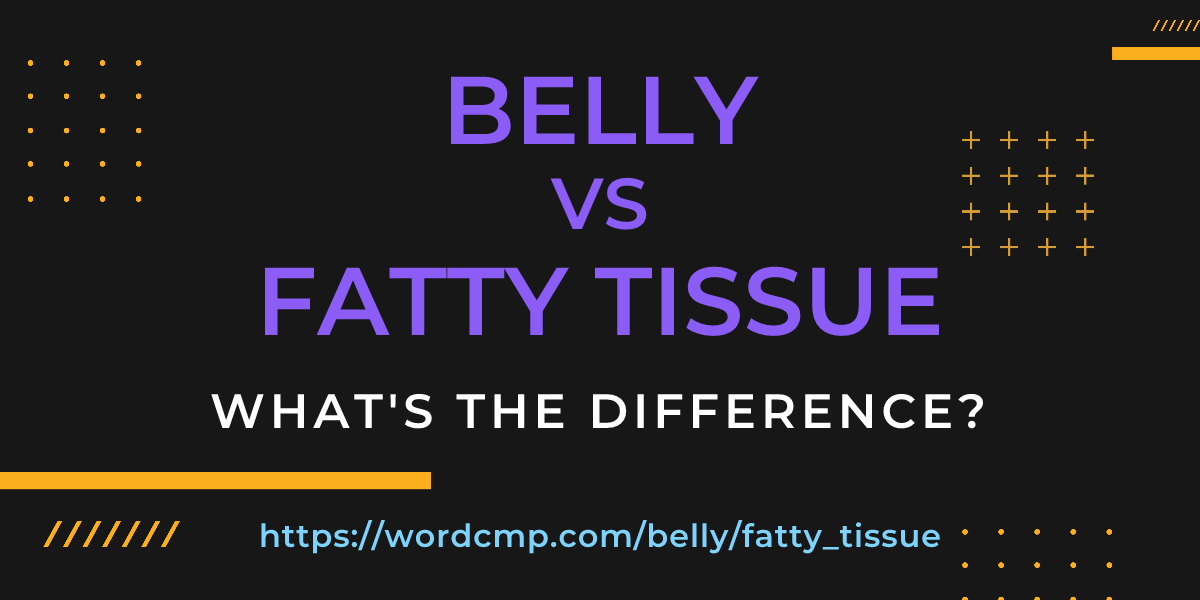 Difference between belly and fatty tissue