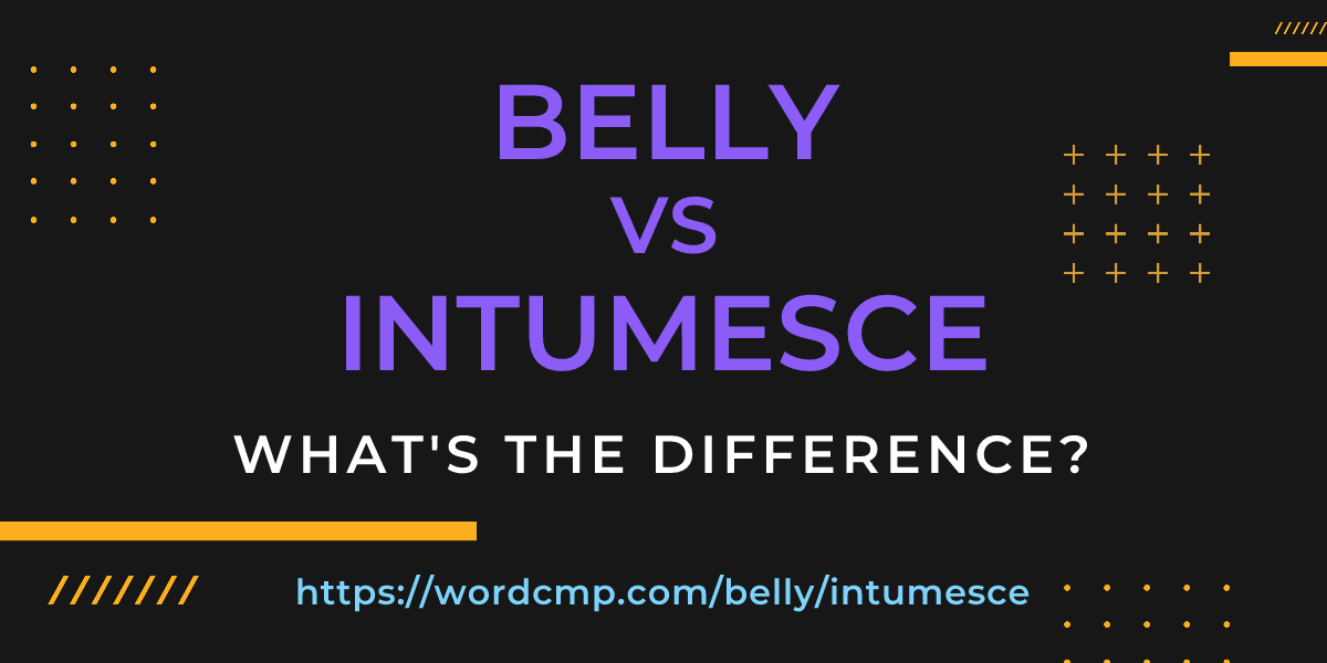 Difference between belly and intumesce