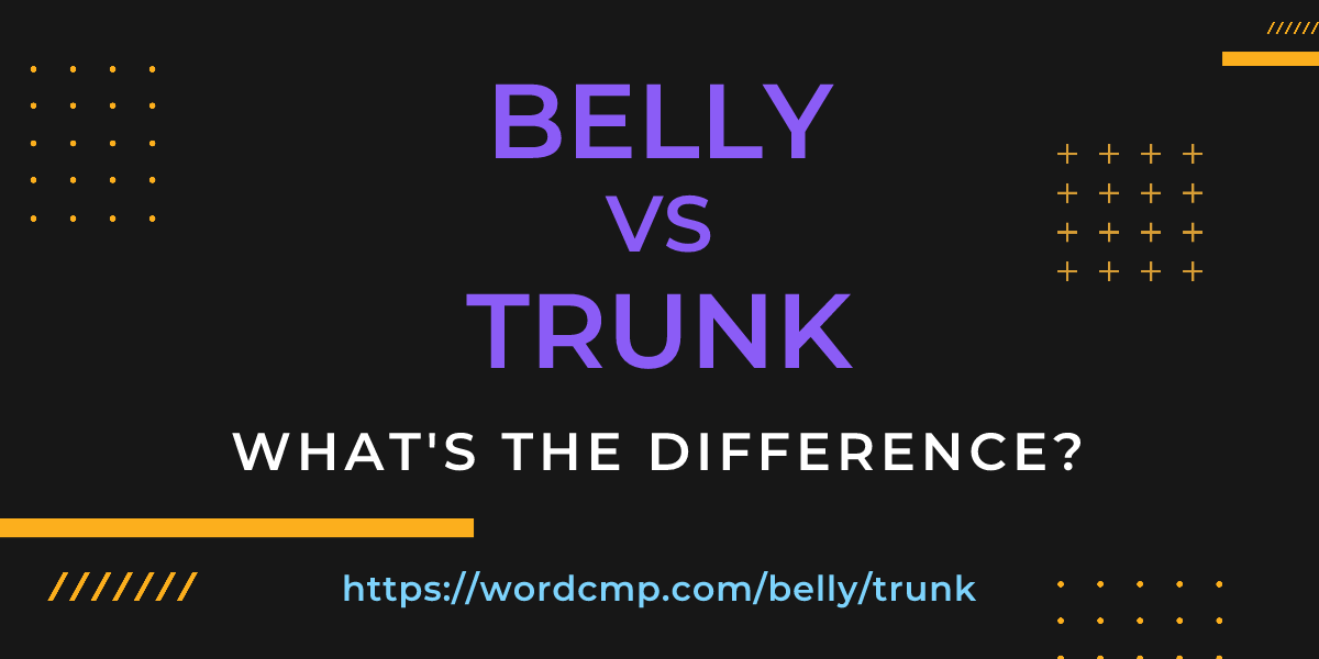 Difference between belly and trunk