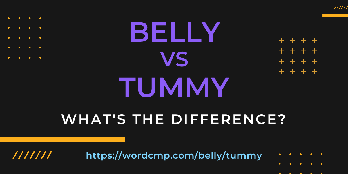 Difference between belly and tummy