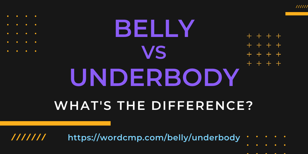 Difference between belly and underbody