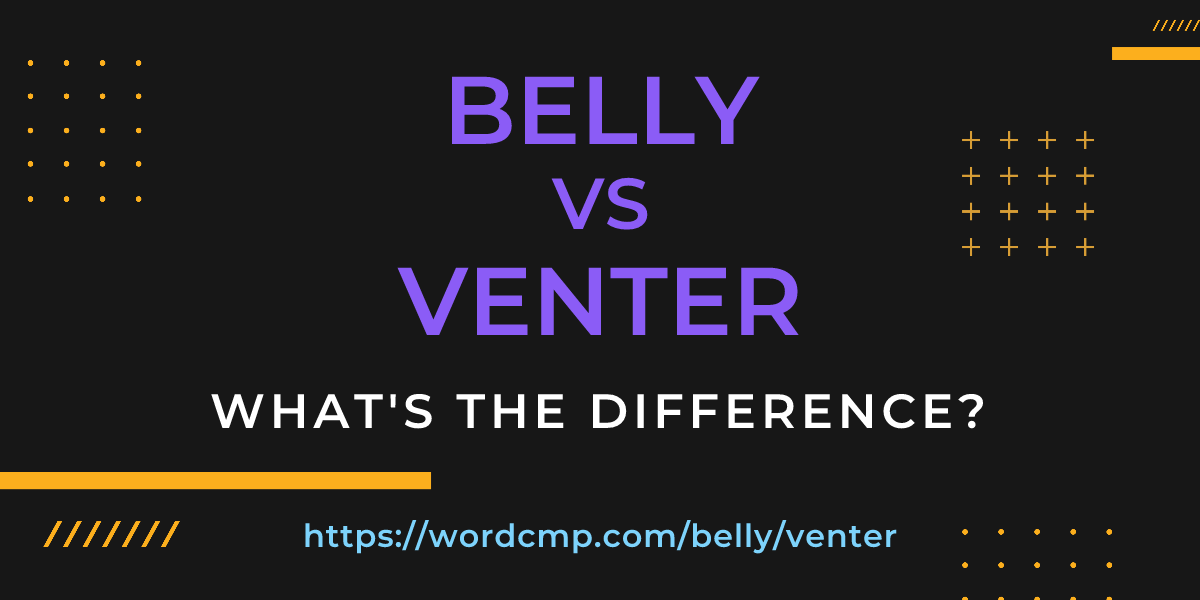 Difference between belly and venter