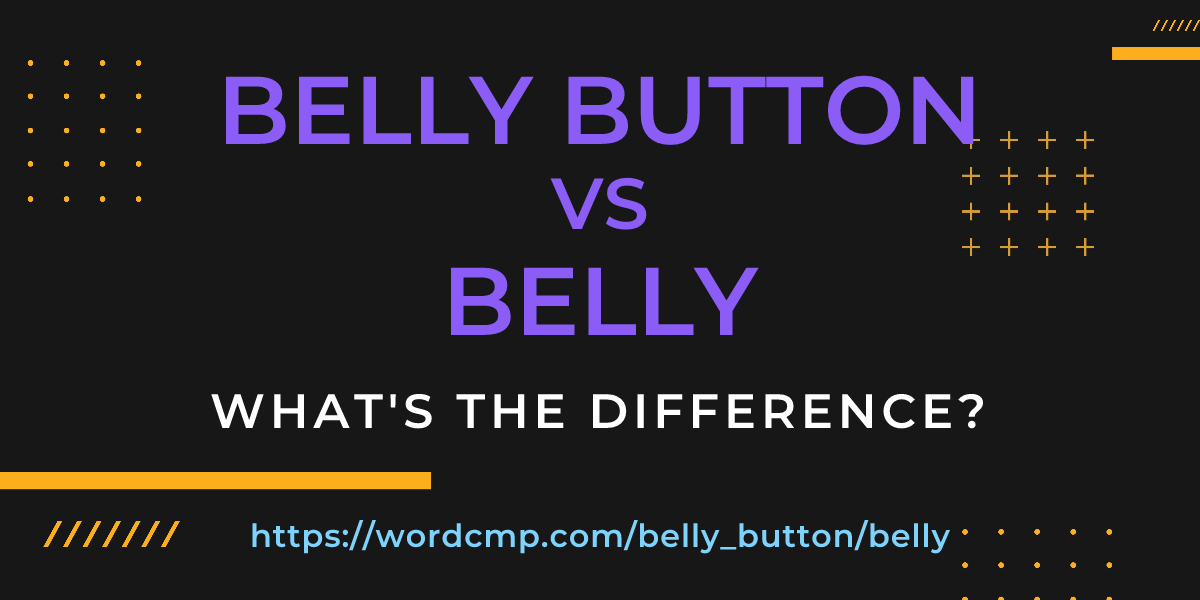 Difference between belly button and belly