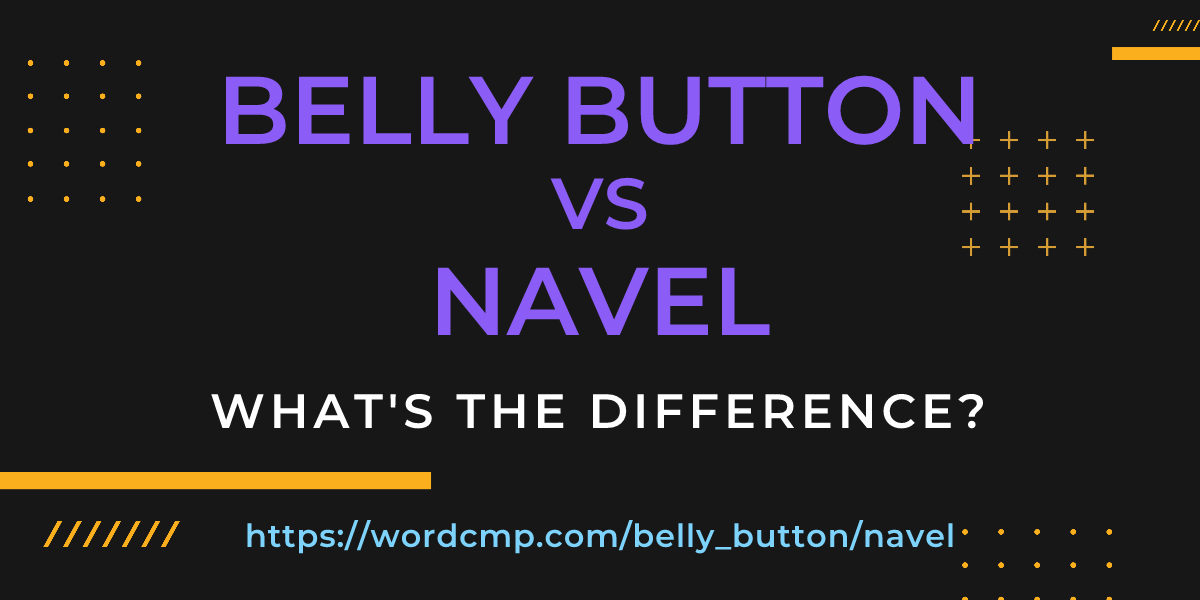 Difference between belly button and navel