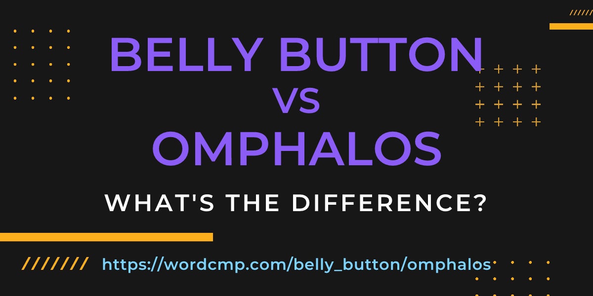 Difference between belly button and omphalos