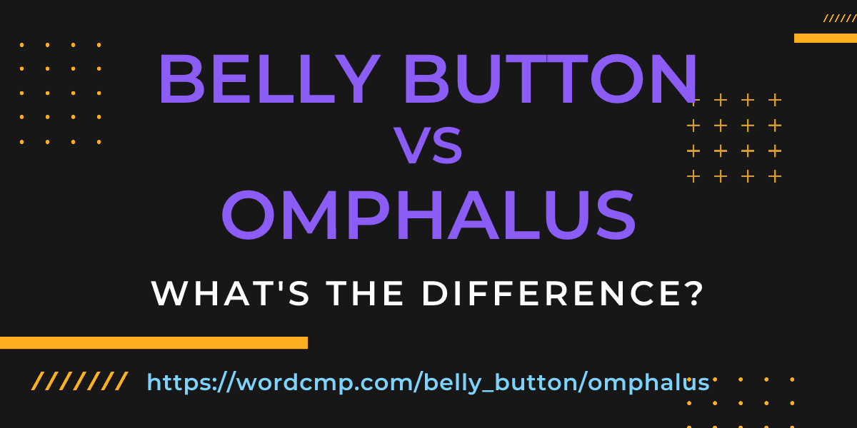 Difference between belly button and omphalus