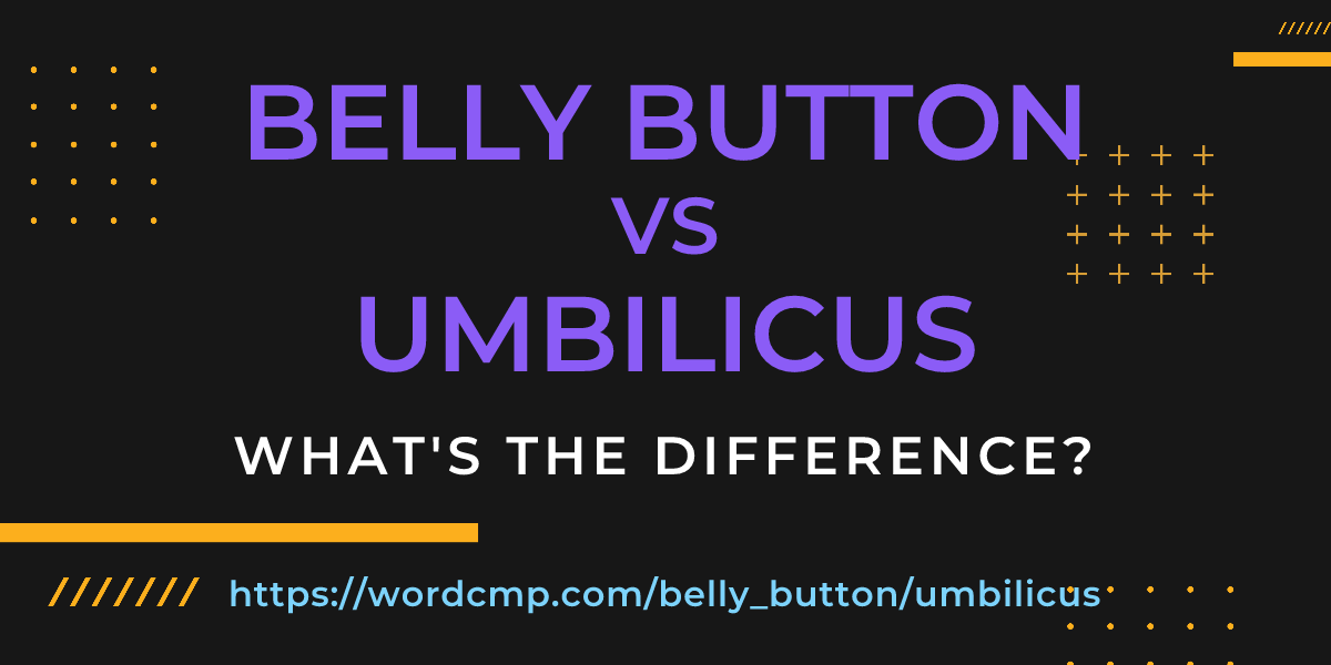 Difference between belly button and umbilicus