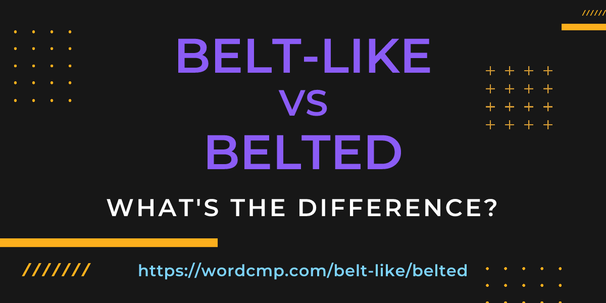 Difference between belt-like and belted