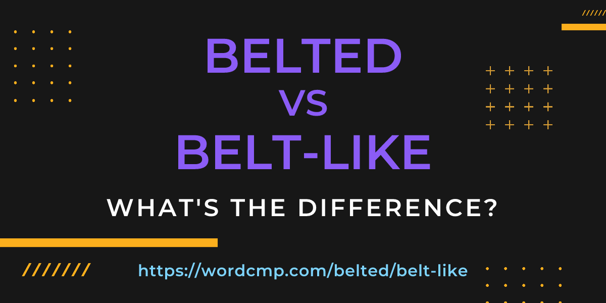 Difference between belted and belt-like