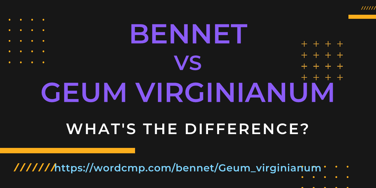 Difference between bennet and Geum virginianum
