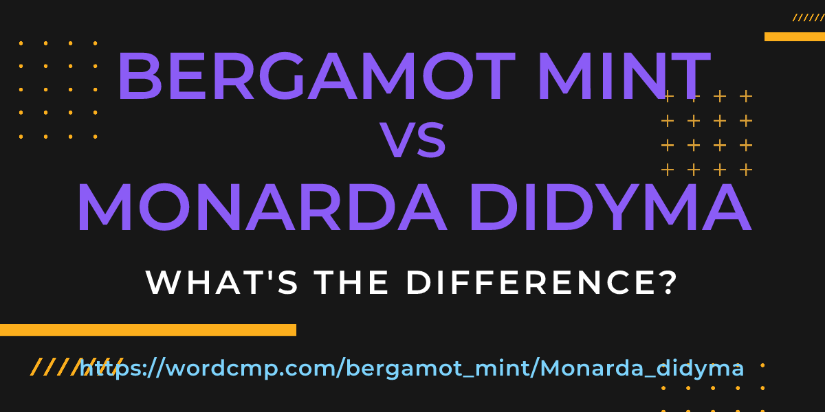 Difference between bergamot mint and Monarda didyma