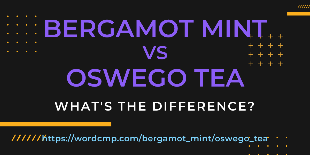 Difference between bergamot mint and oswego tea
