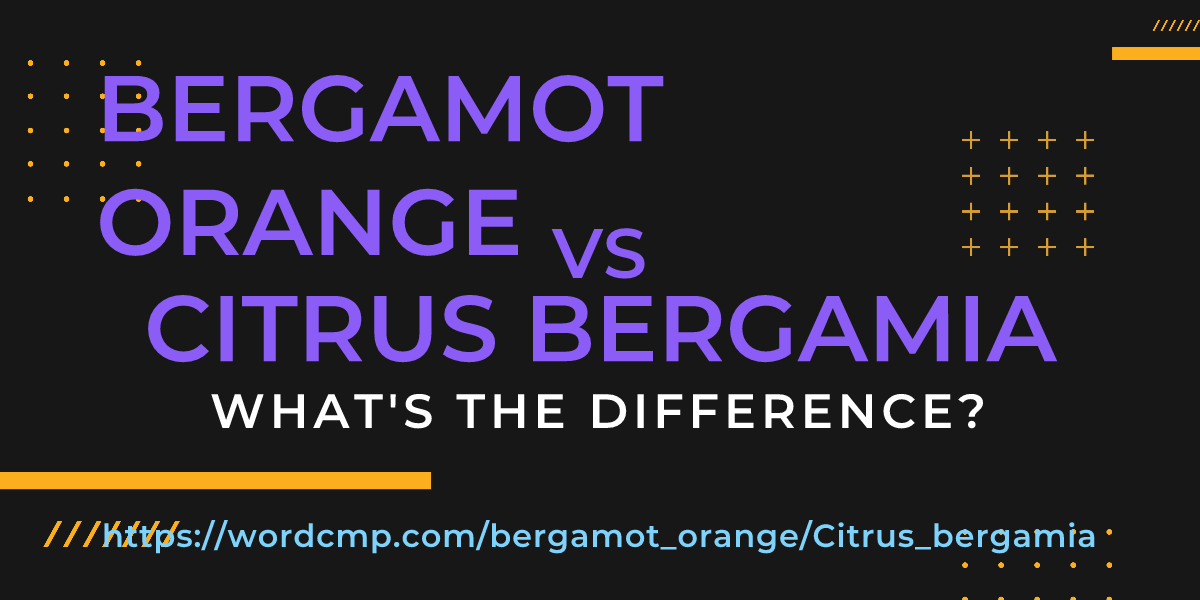 Difference between bergamot orange and Citrus bergamia