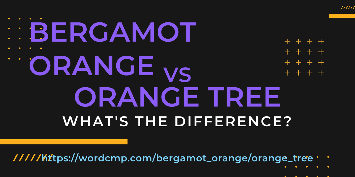 Difference between bergamot orange and orange tree