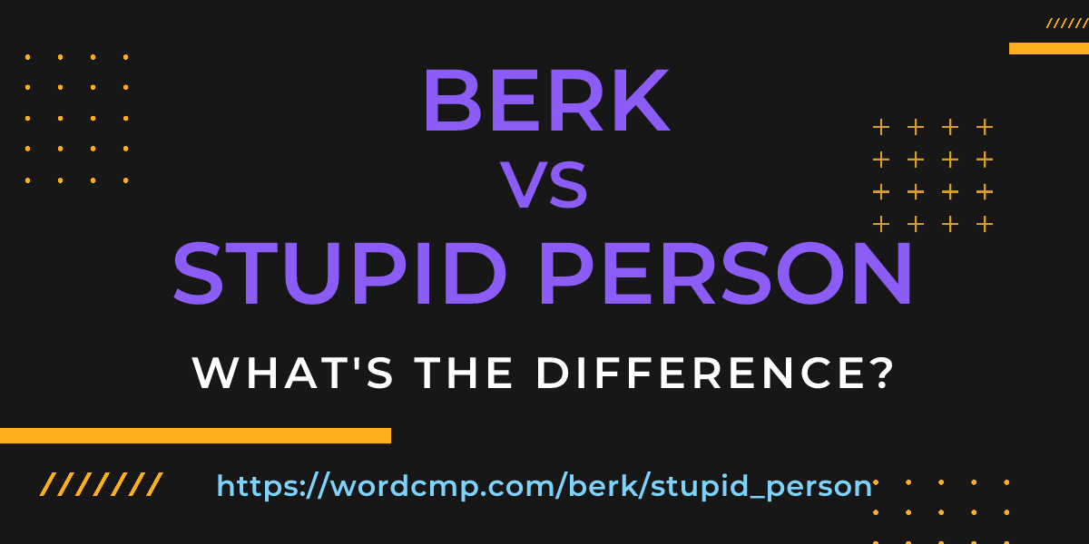 Difference between berk and stupid person