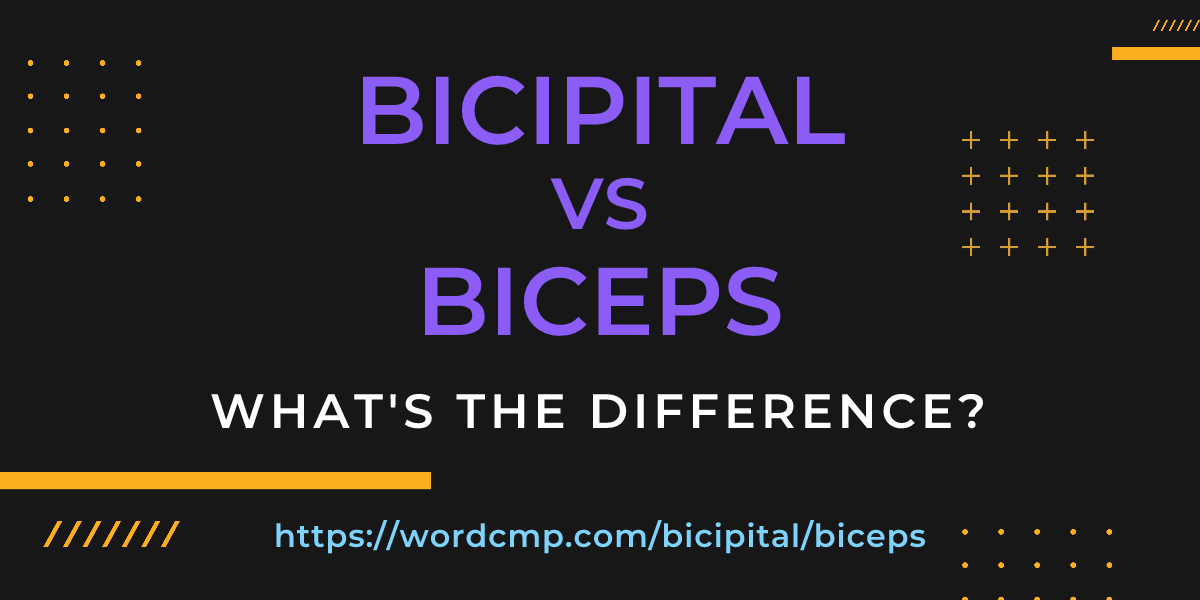 Difference between bicipital and biceps