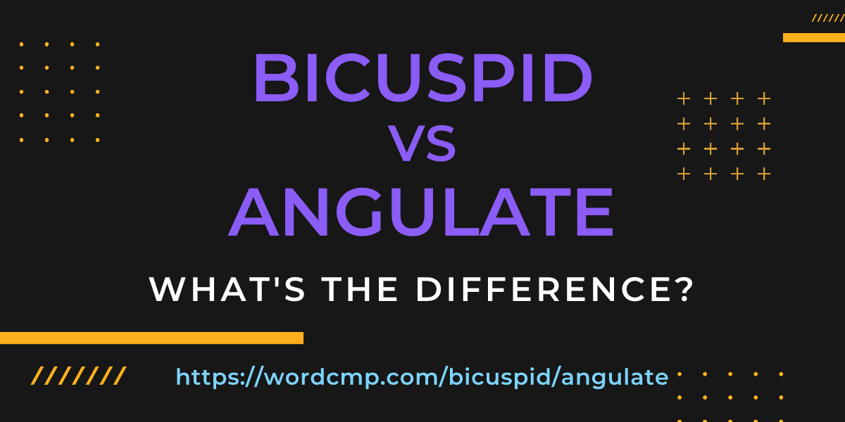 Difference between bicuspid and angulate