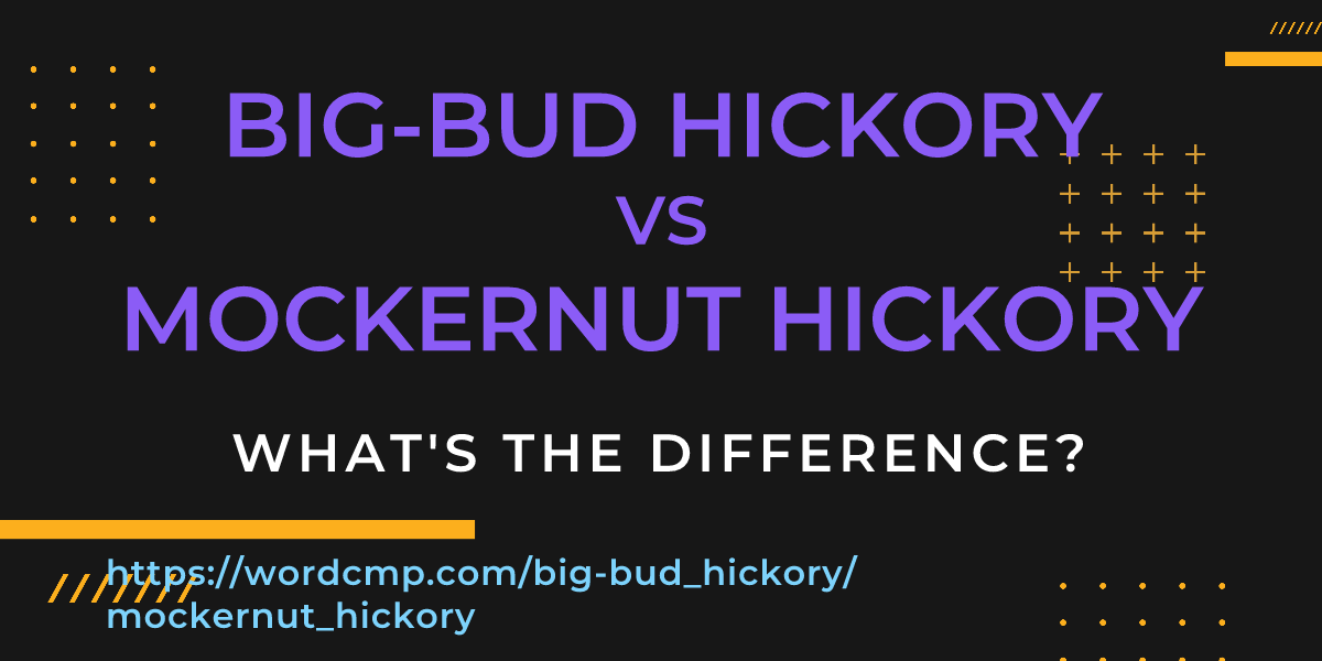 Difference between big-bud hickory and mockernut hickory