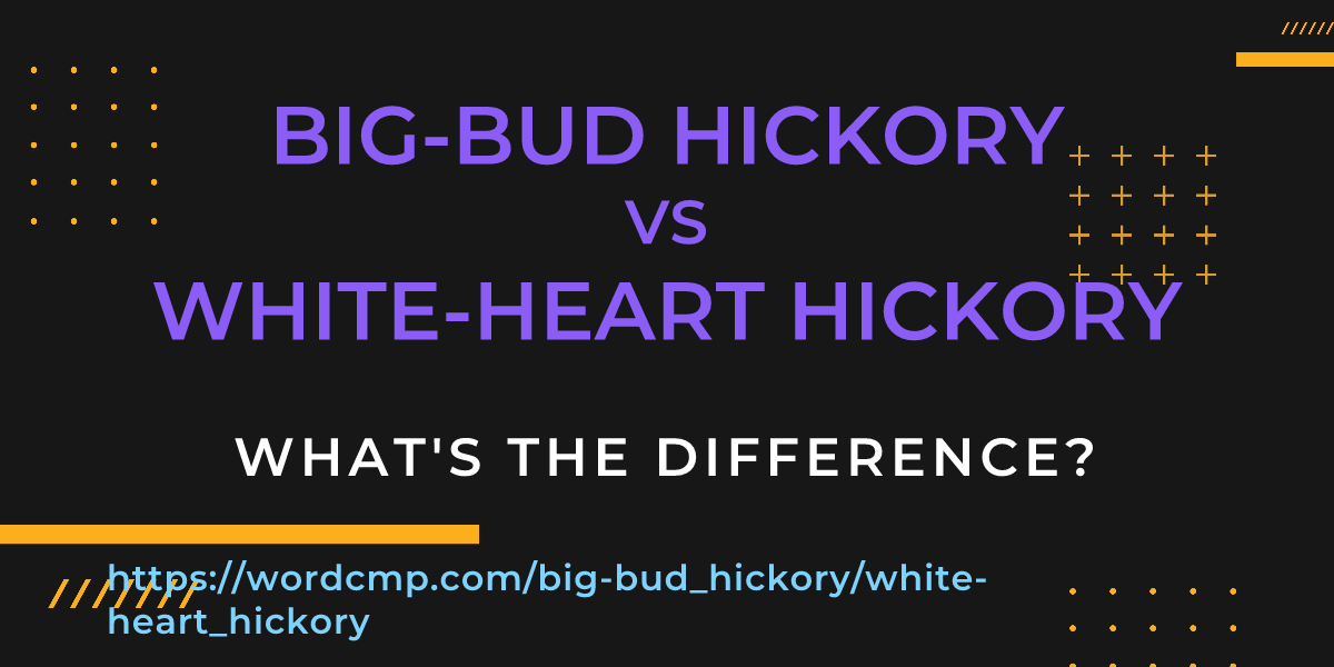 Difference between big-bud hickory and white-heart hickory