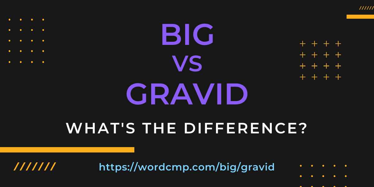 Difference between big and gravid