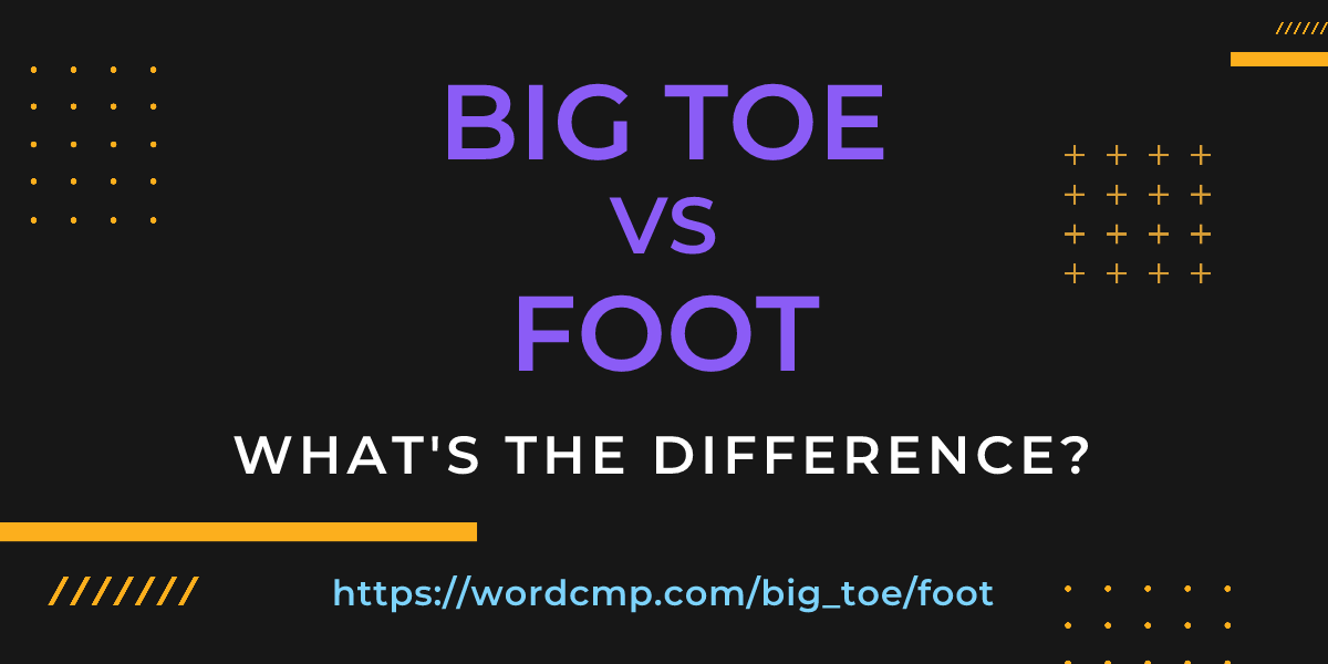 Difference between big toe and foot