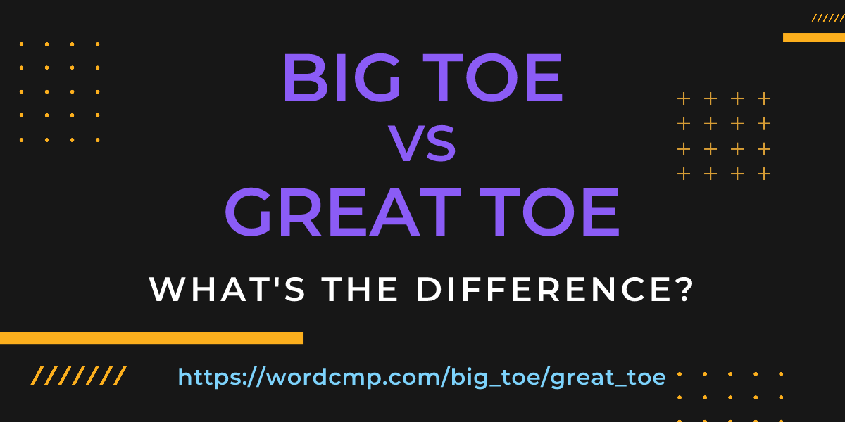 Difference between big toe and great toe