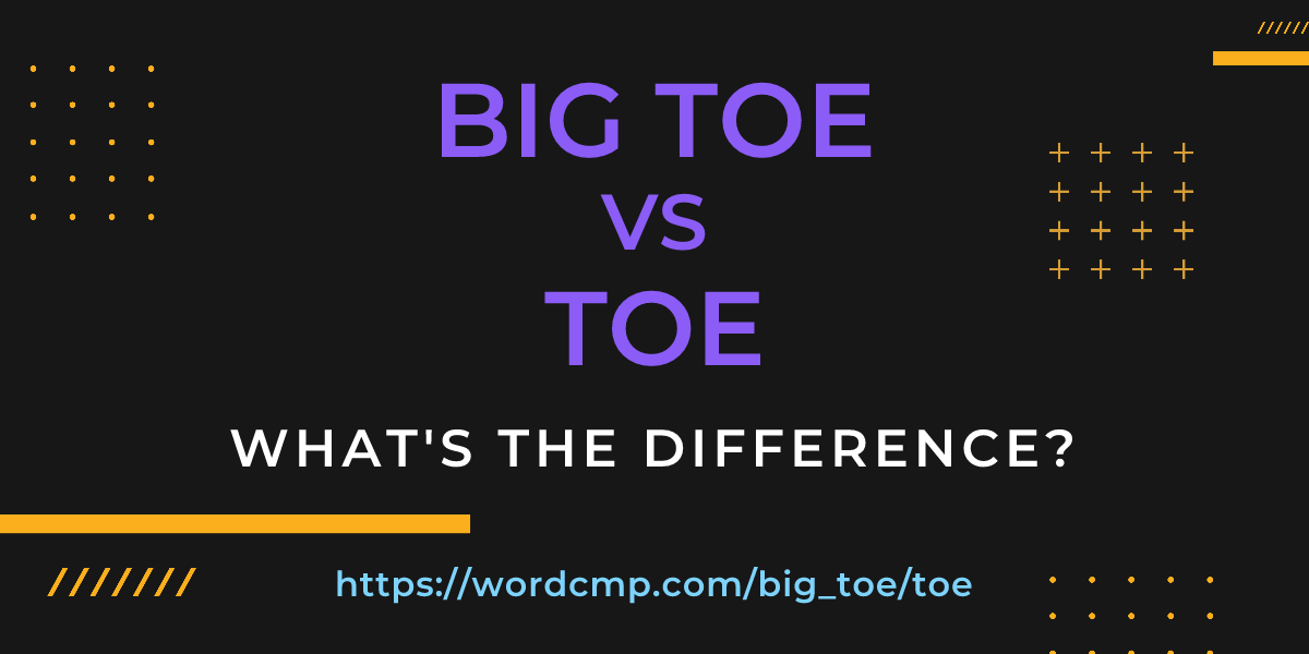 Difference between big toe and toe