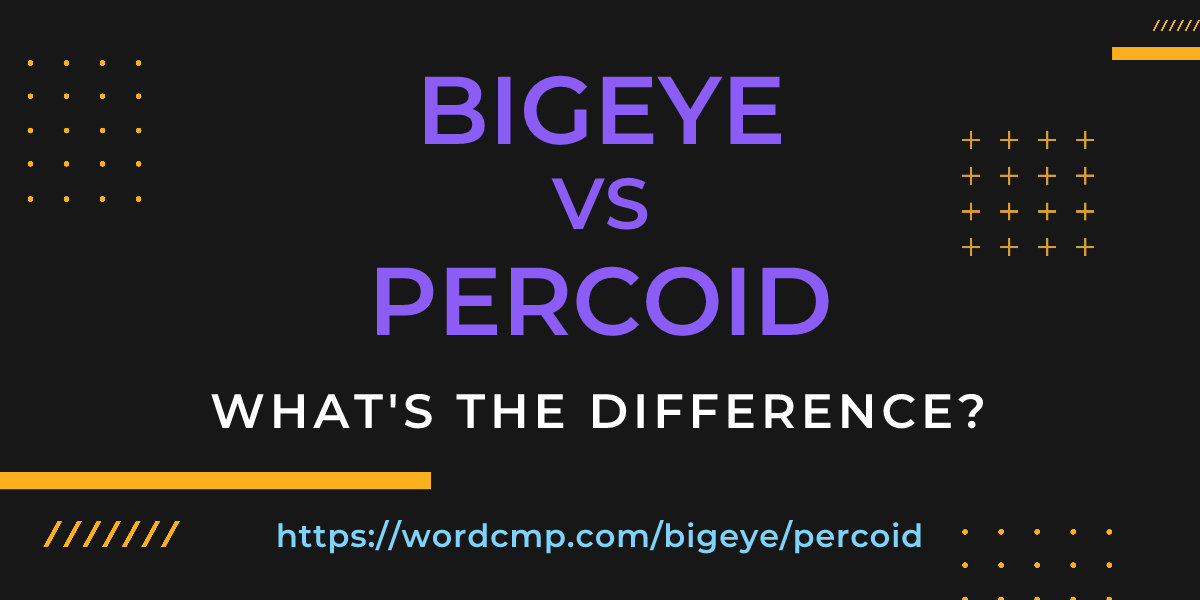 Difference between bigeye and percoid