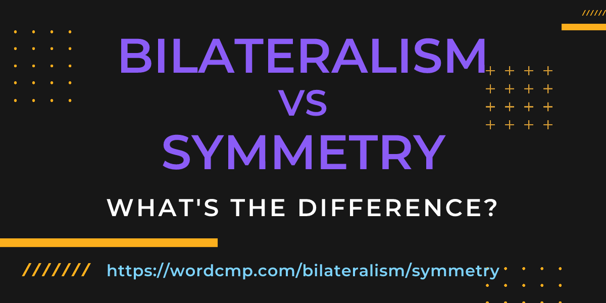 Difference between bilateralism and symmetry